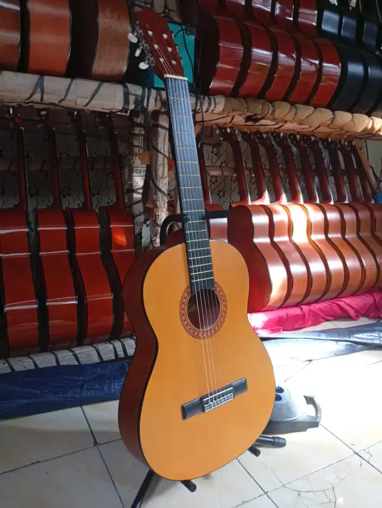 Gitar akustik classic tanem besi