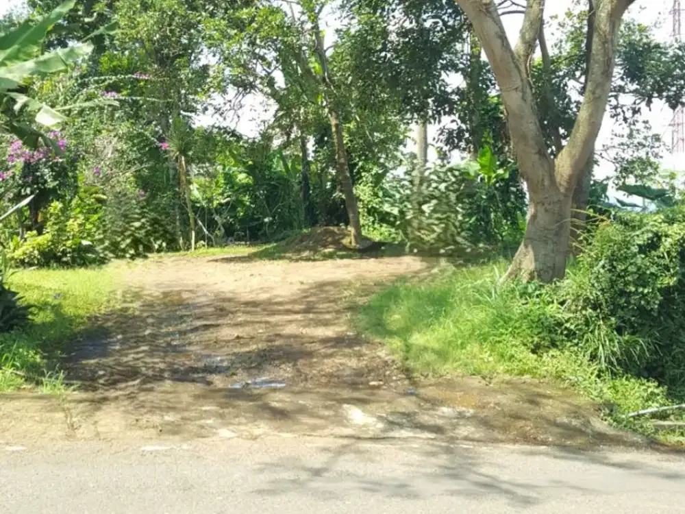 Dijual Cepat Tanah Murah Turun Harga Lokasi Mainroad Strategis dekat Stasiun KCIC Bandung Barat