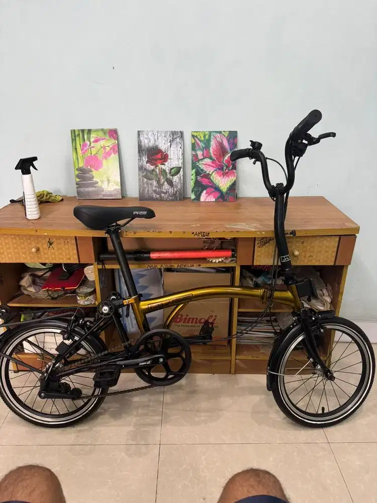 For Sale Sepeda Element Pikes 3S masih mulus