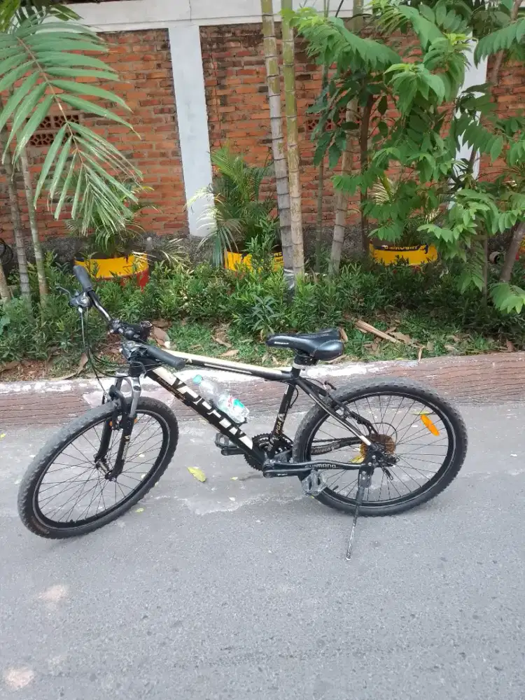 Sepeda Mtb aleoca 26' profesional Italy