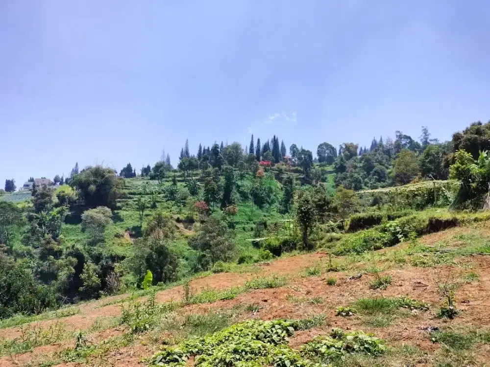 Dijual Tanah Barunagri Lembang hawa sejuk dijual dengan harga bagus