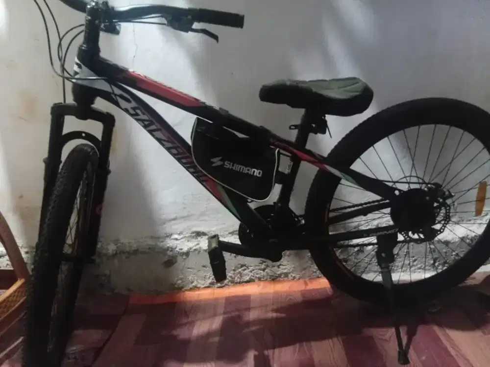 Sepeda Genio By United