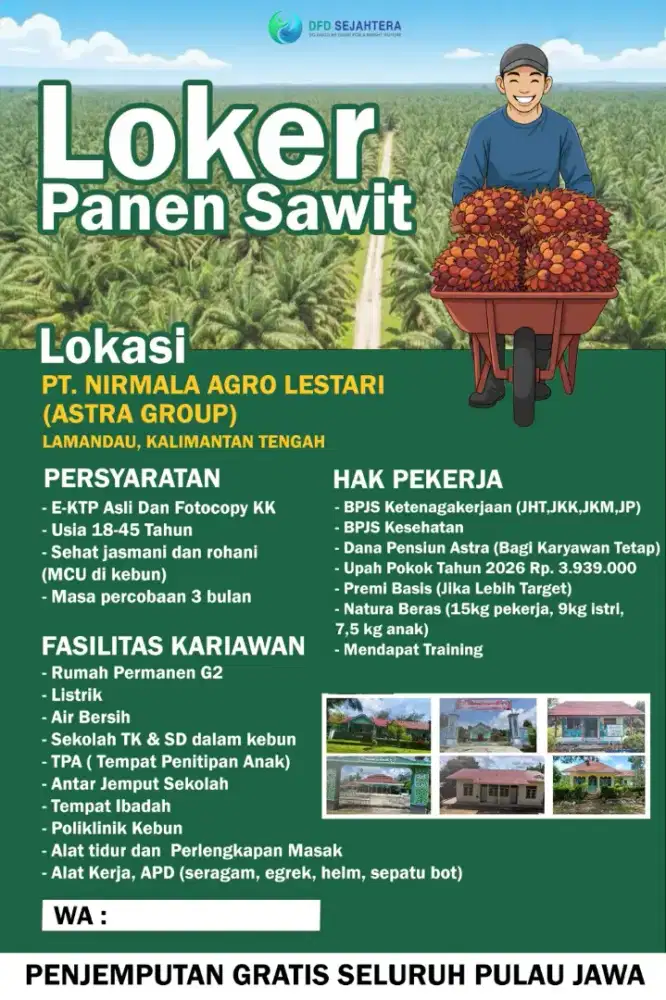 Lowongan pekerjaan perkebunan kelapa sawit