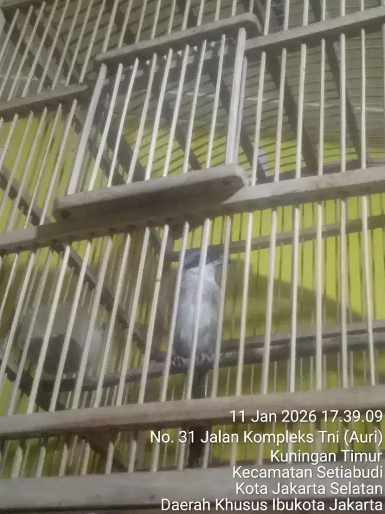 JUAL SANTAI SAMBIL NGOPI