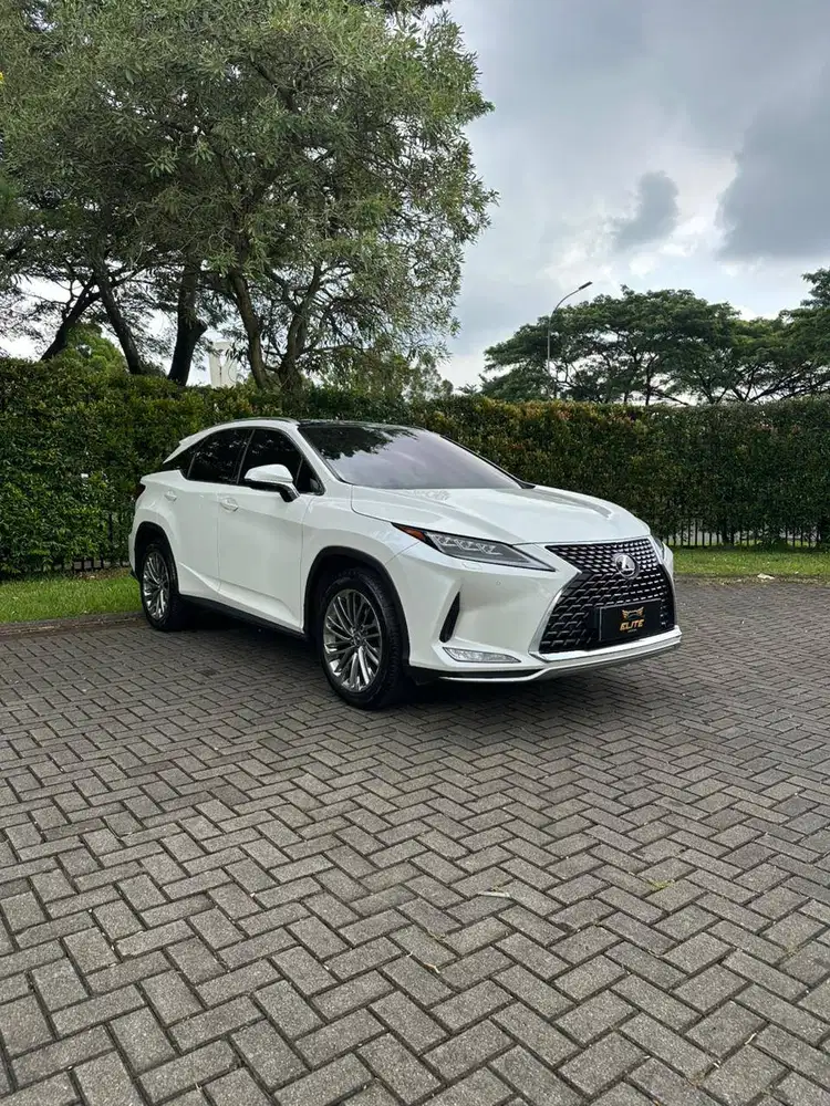 Lexus RX 300 Luxury 2021