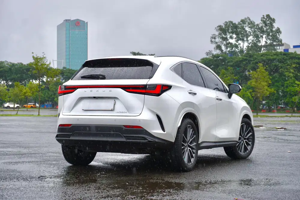 Lexus NX350h Hybrid Facelift Luxury A25A-FXS 2023 / 2024