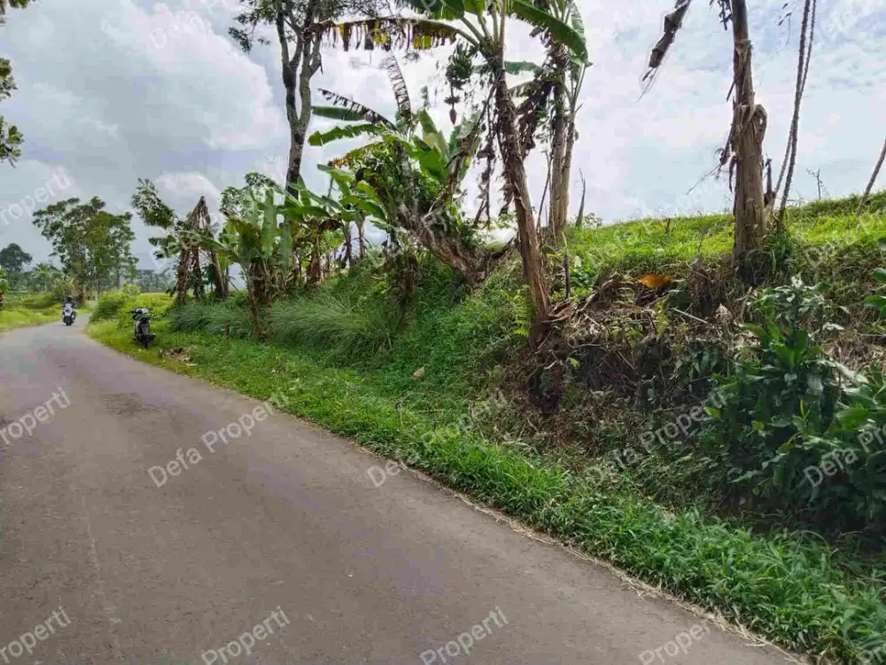 SAWAH PRODUKTIF DIJUAL ‼️ Pemandangan Alam Terbuka