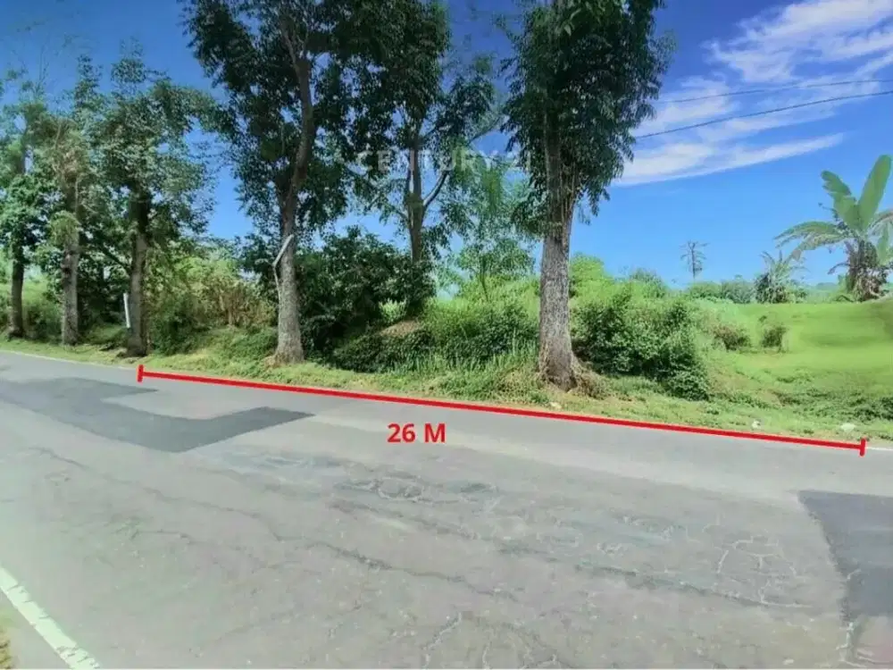 Tanah Pekarangan 1054m2 Dekat Sleman City Hall Cocok Untuk Bisnis