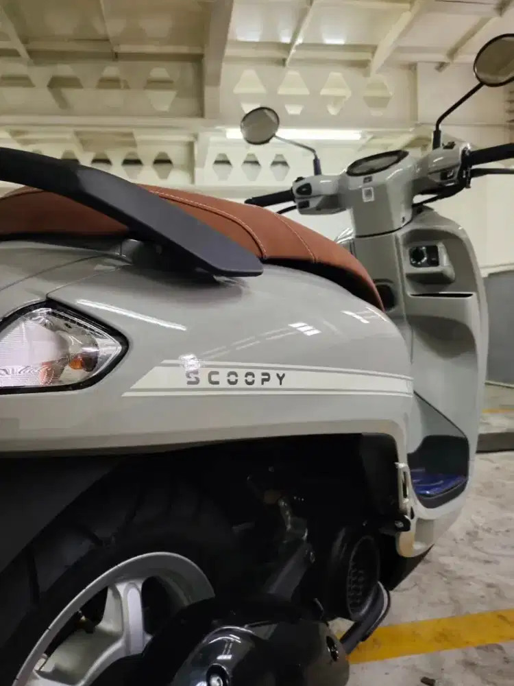 HONDA SCOOPY STYLISH