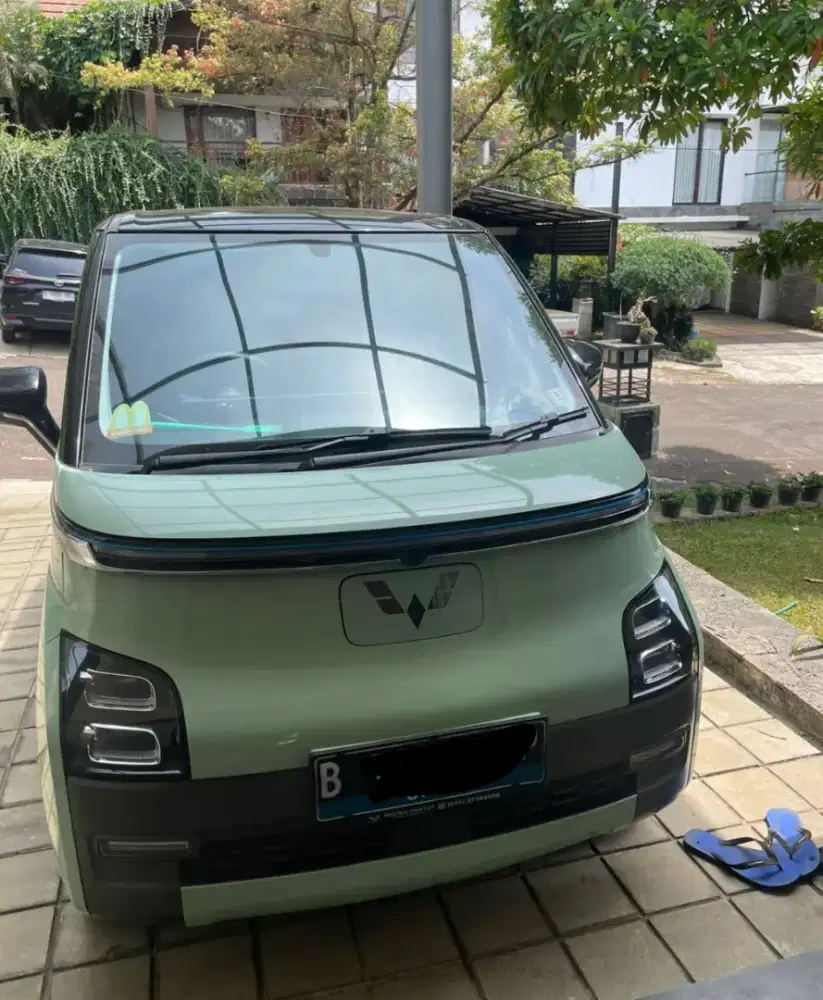 Wulling Airev Pro Long Range 300