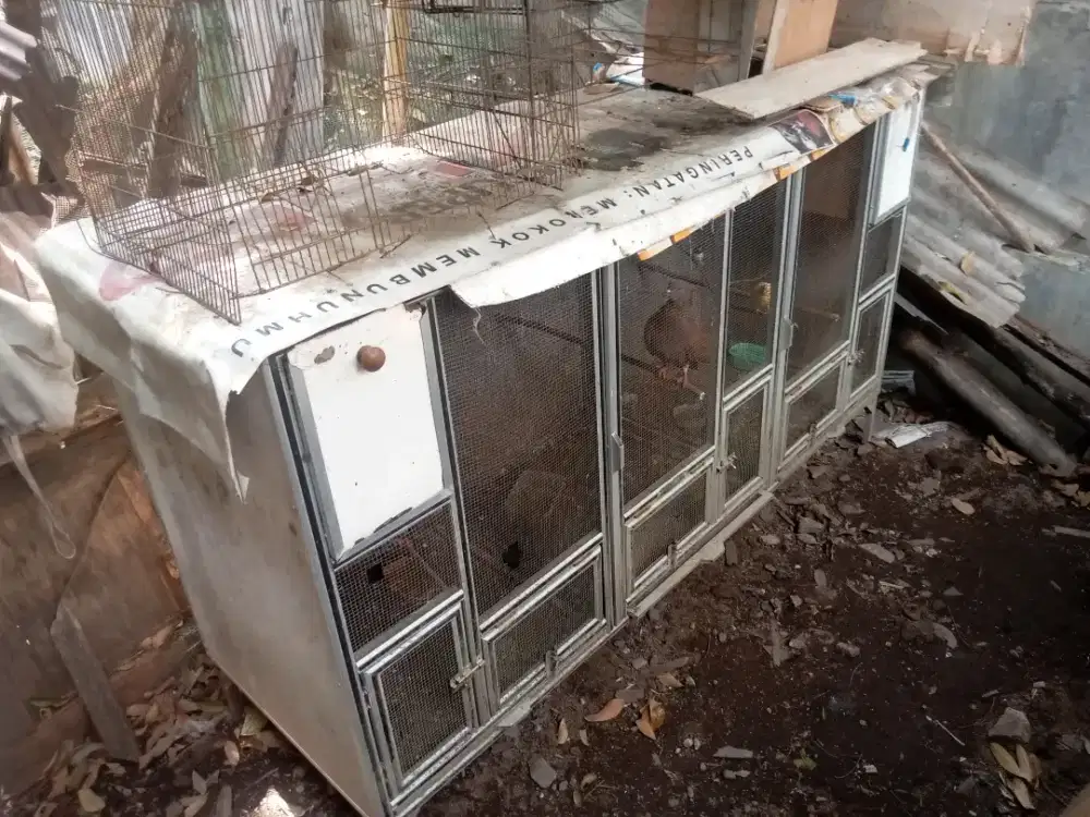 kandang bekas ternak kenari