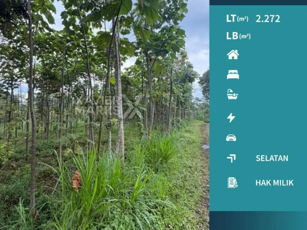 Dijual Murah Tanah Super Luas di Sumbersuko Wagir, Malang