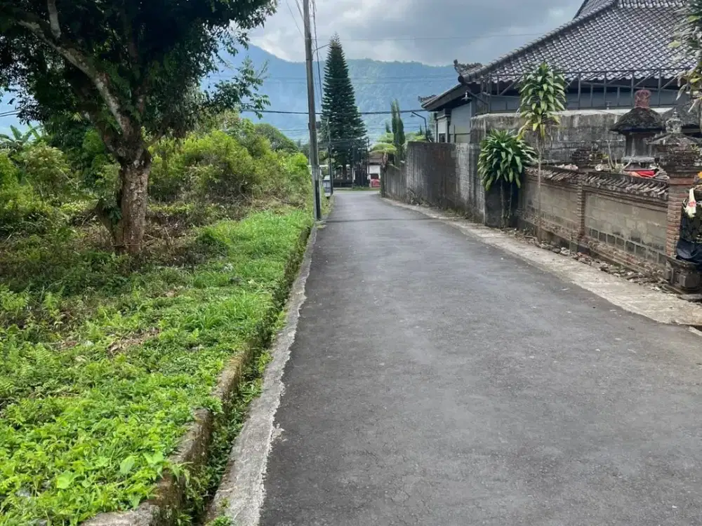 Jual Tanah View Danau Bedugul Lokasi Di Danau Bedugul Bali. Dekat Hotel Bedugul Bali.