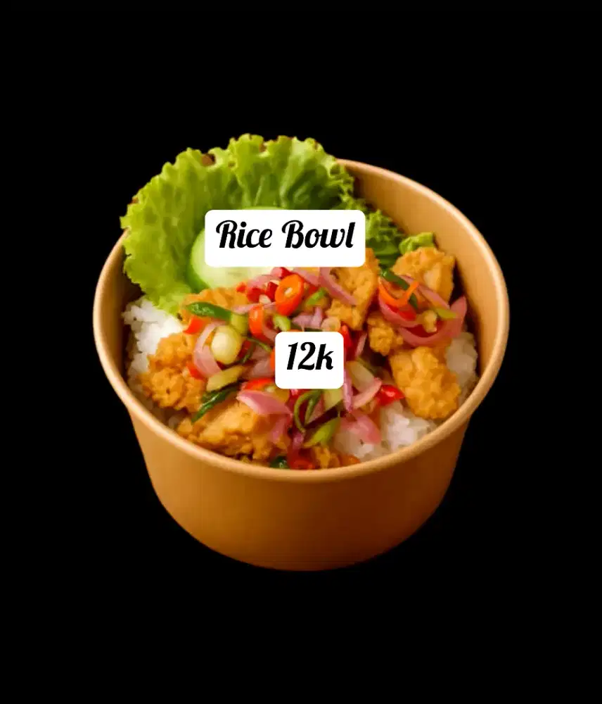 Aneka Rice Bowl