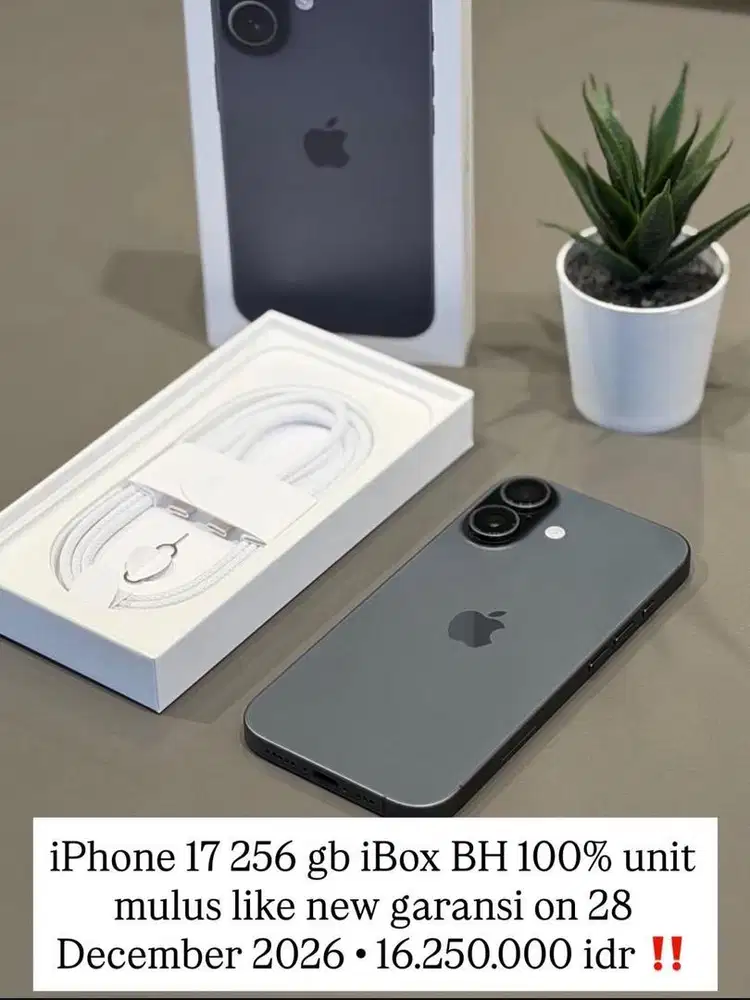 IPhone 17 256Gb iBox Like New