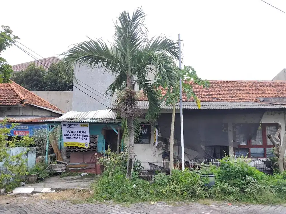 Tanjung Layar Krembangan , Hitung Tanah, MURAH ( tusuk sate)