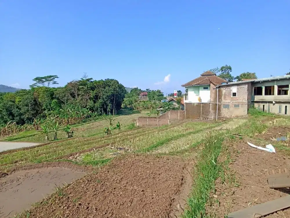 Dijual Tanah 3H HARGA di Bawah Pasar Cocok Untuk Villa dan Perumahan