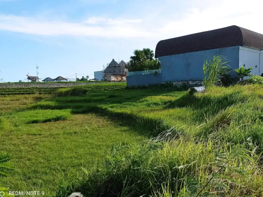 Tanah Super Premium View Sawah di BERAWA