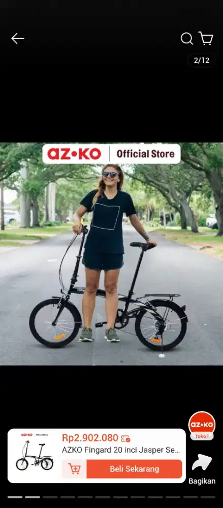 Jual Sepeda Lipat Fingard