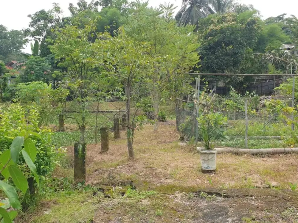 Tanah Strategis Dkt Puspitek Serpong Cocok Hunian atau Usaha