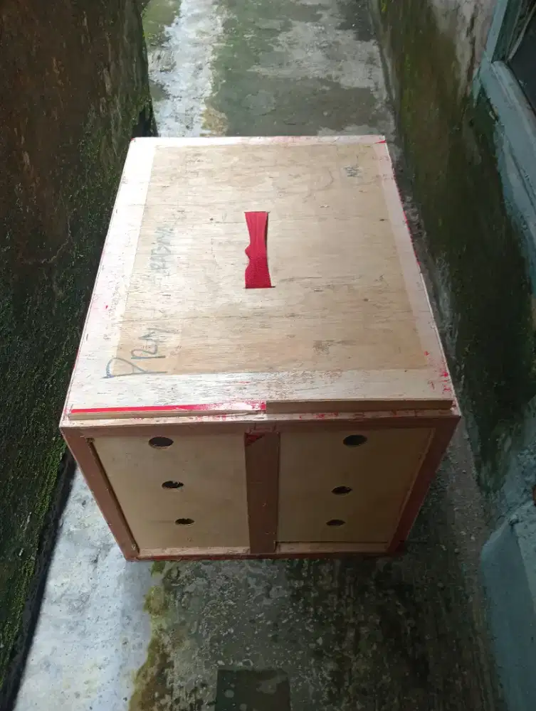 Box ayam gandeng isi 2