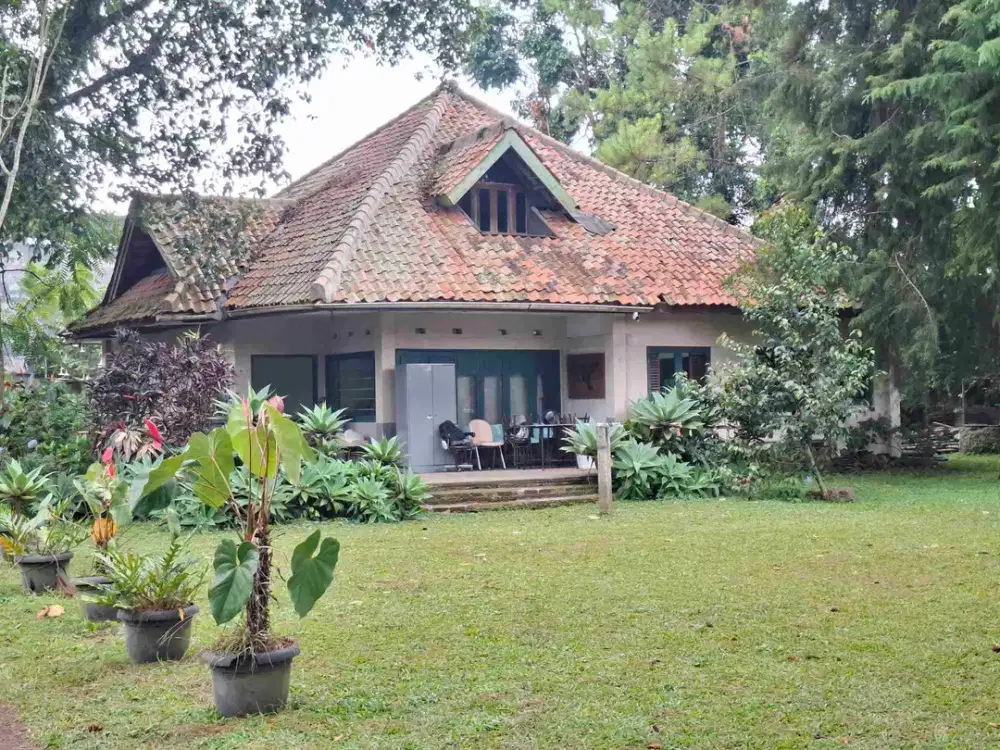 Jual Rumah Klasik Di Lembang Tanah Super Luas Cocok Untuk Usaha Cafe,Resto Atau Penginapan