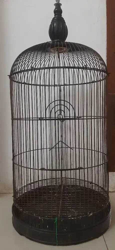 Sangkar besi lovebird