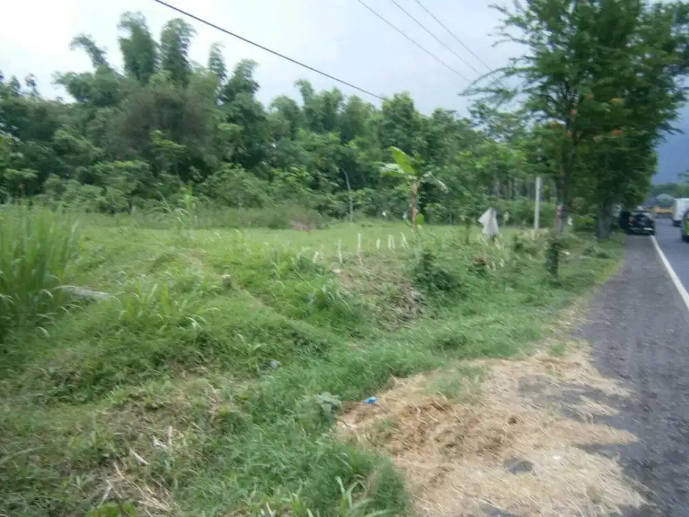DIJUAL TANAH MALASAN TEGALSIWALAN PROBOLINGGO RON.A3014