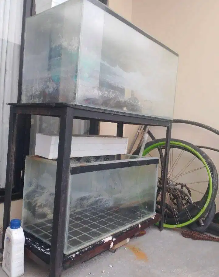 AKUARIUM / AQUARIUM FULL SET TINGGAL PAKE