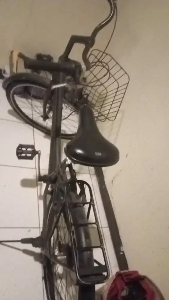 Sepeda minus pemakaian