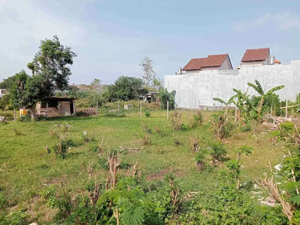 di sewakan tanah luas kecil di ungasan