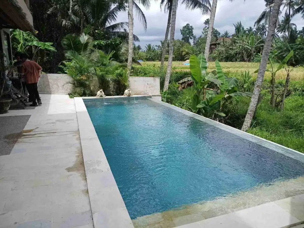 Turnkey Hospitality Business & Property
 for Sale in Tampak Siring