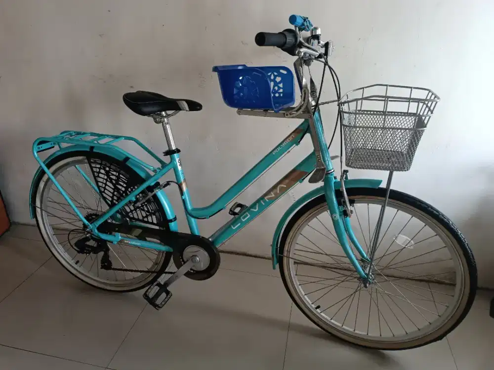 Sepeda polygon Lovina