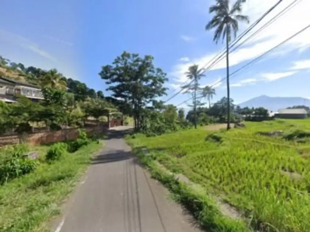 Kavling Murah Free SHM 6 Menit Jalan Cijeruk