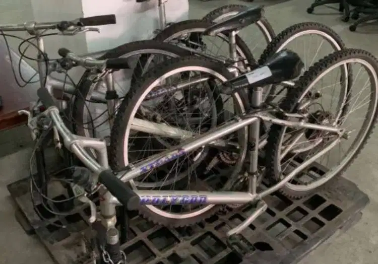 Speda Bicycle Polygon Bekas