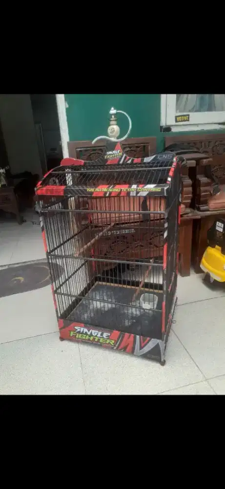 Kandang striker no.2