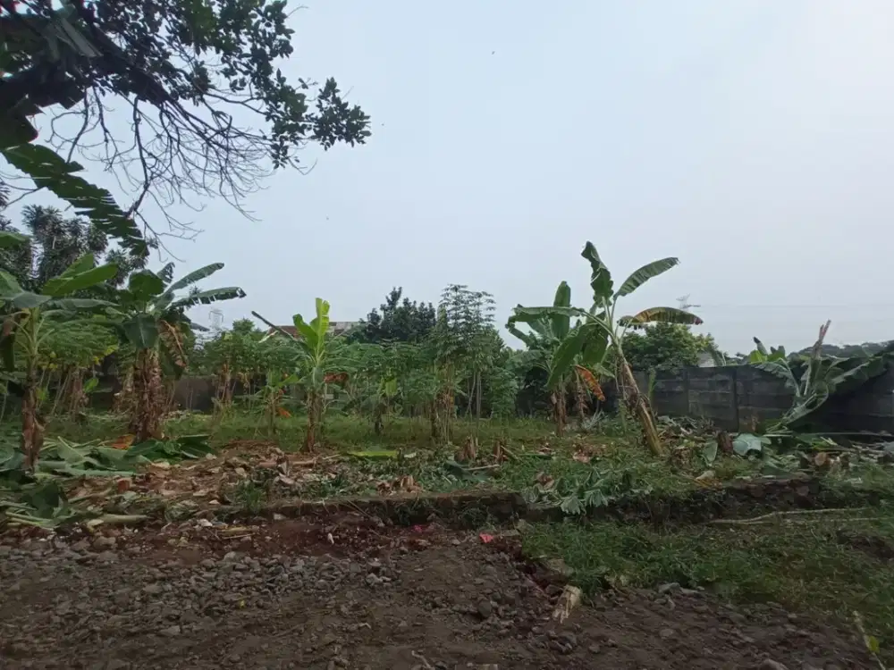 Tanah Murah Cinangka, Strategis Dekat Jl Raya Abdul Wahab