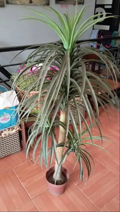 Tanaman daun hijau sintetis + pot