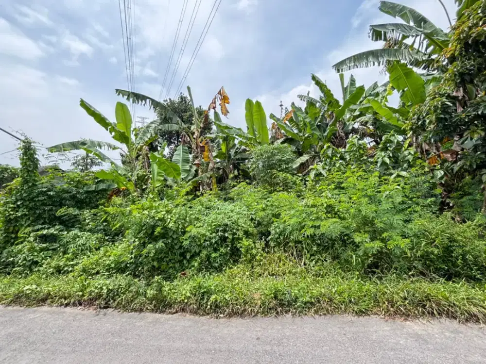 Di jual lahan pekarangan