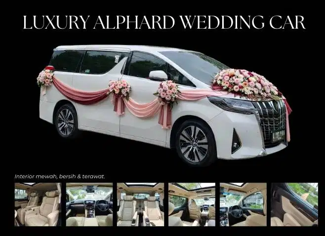 Sewa Alphard Wedding Mulai dari Rp 2,5 Juta