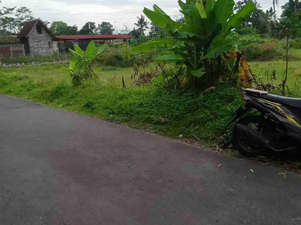 Tanah ideal di magwuharjo dekat jl raya tajem,cocok untuk kost exclusive maupun hunian