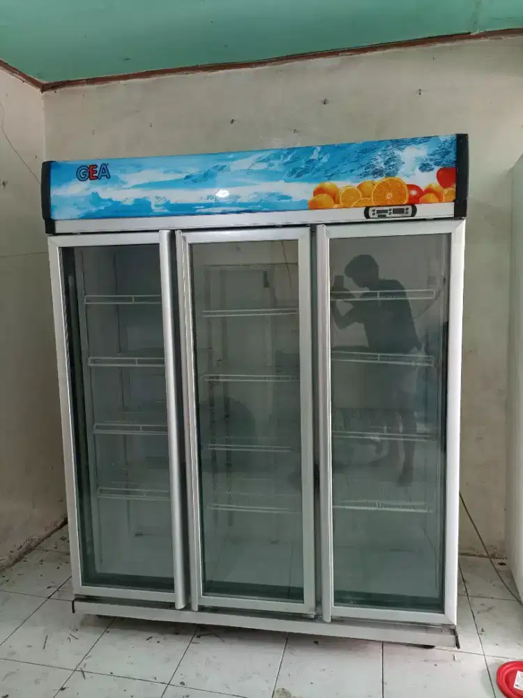 showcase & freezer box