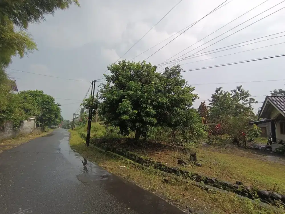 Tanah Strategis Donoharjo Sleman Dekat Jl Palagan Investasi Premium