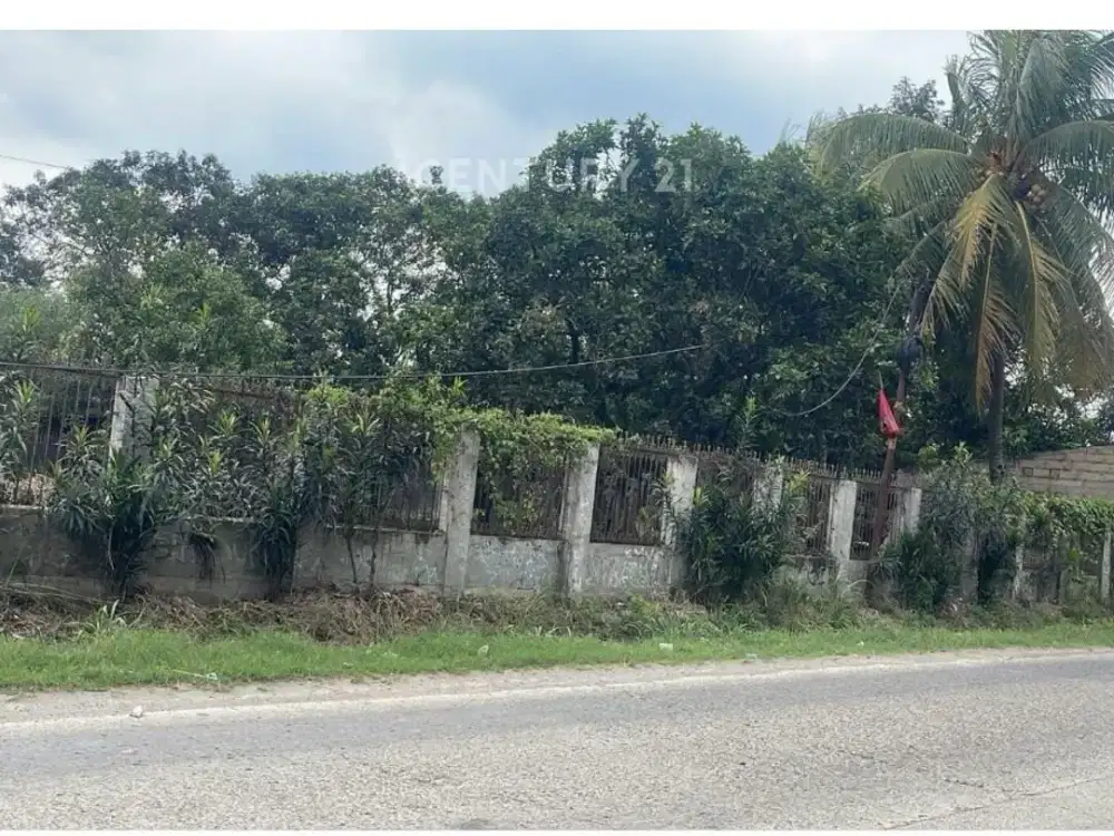 Tanah Gunung Sindur Serpong Parung Bogor Lokasi Strategis SHM