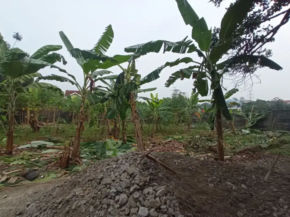 Tanah Murah Cinangka 2,8Jt/m2 Strategis 100 Meter Jl Raya