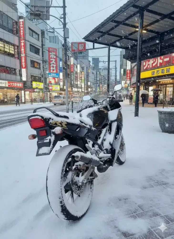 Ninja RR Old 2008 Original