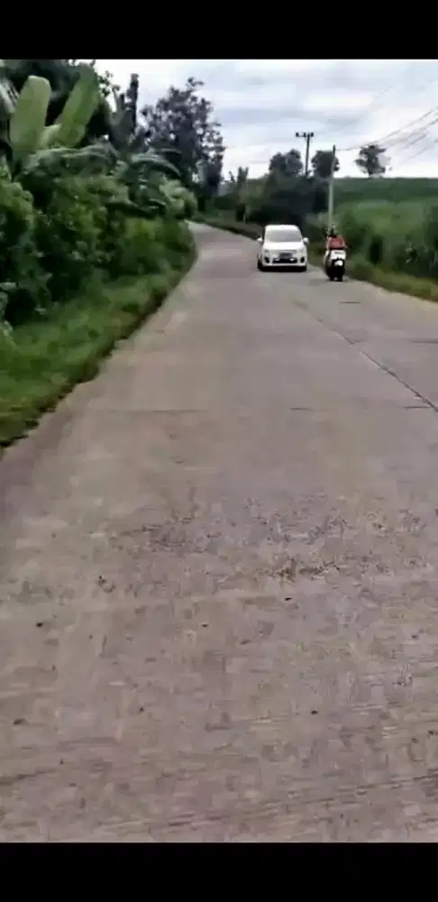 JOMBANG,LUAS TANAH 4.5 HA BONUS GUDANG