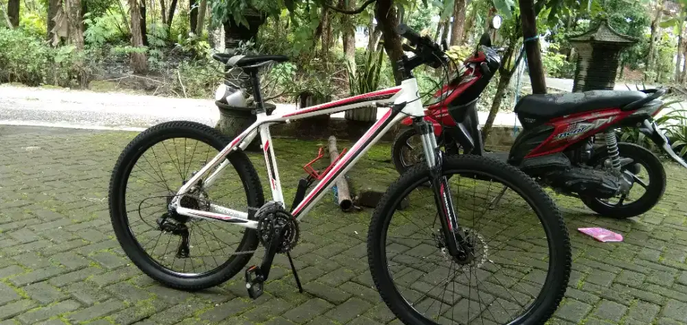 WIMCYCLE HOTROD 1.00