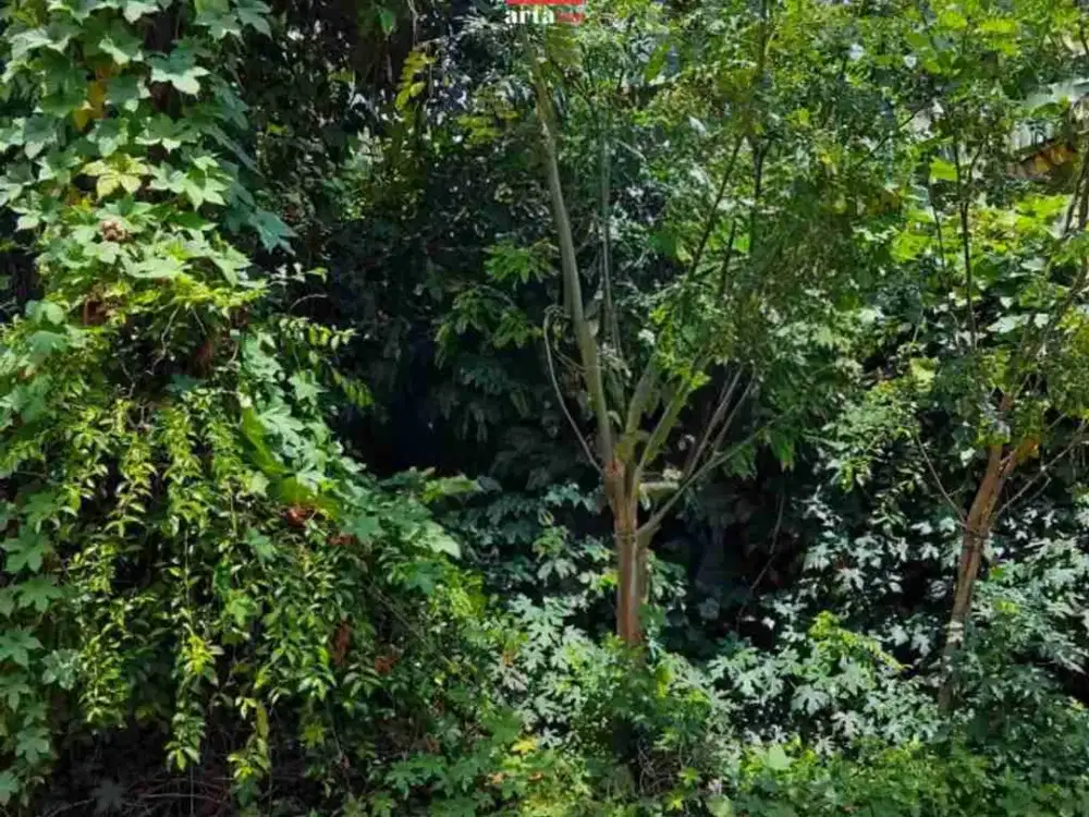 Tanah Kavling Siap Bangun Lokasi Strategis Di Permata Hijau