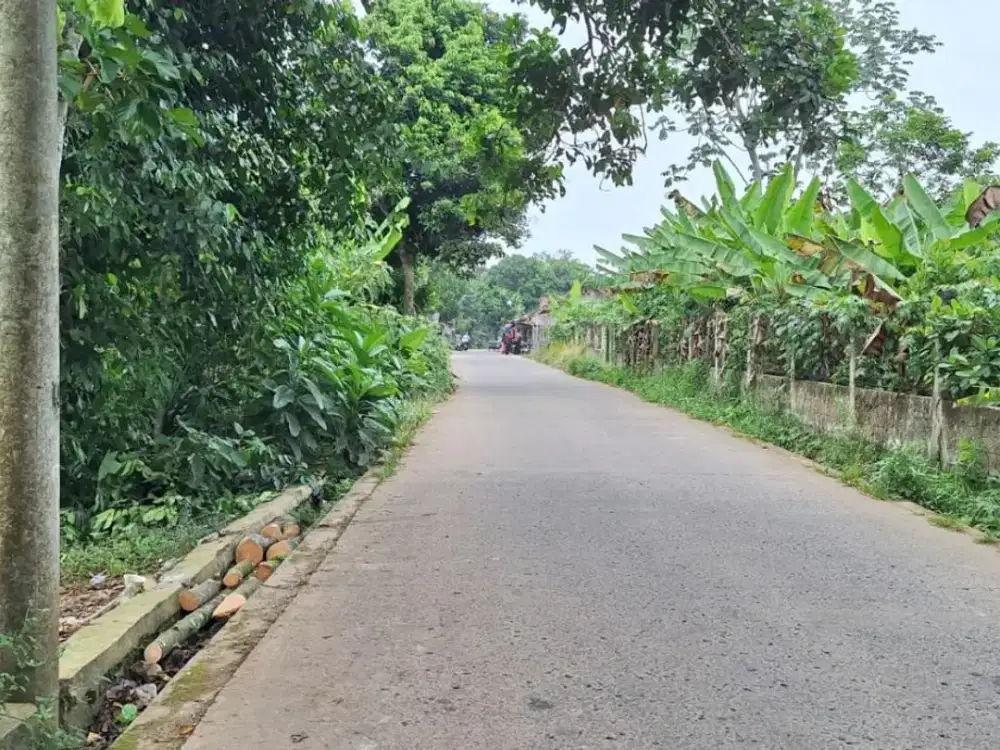 Tanah Murah Cisauk - SHM 100jtan - Pinggir Jalan Cocok Rumah/Investasi